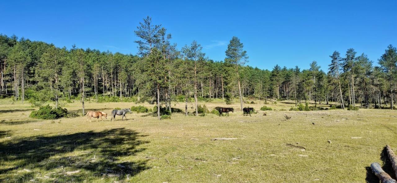 Alojamiento Rural Los Hacheros Tragacete Extérieur photo