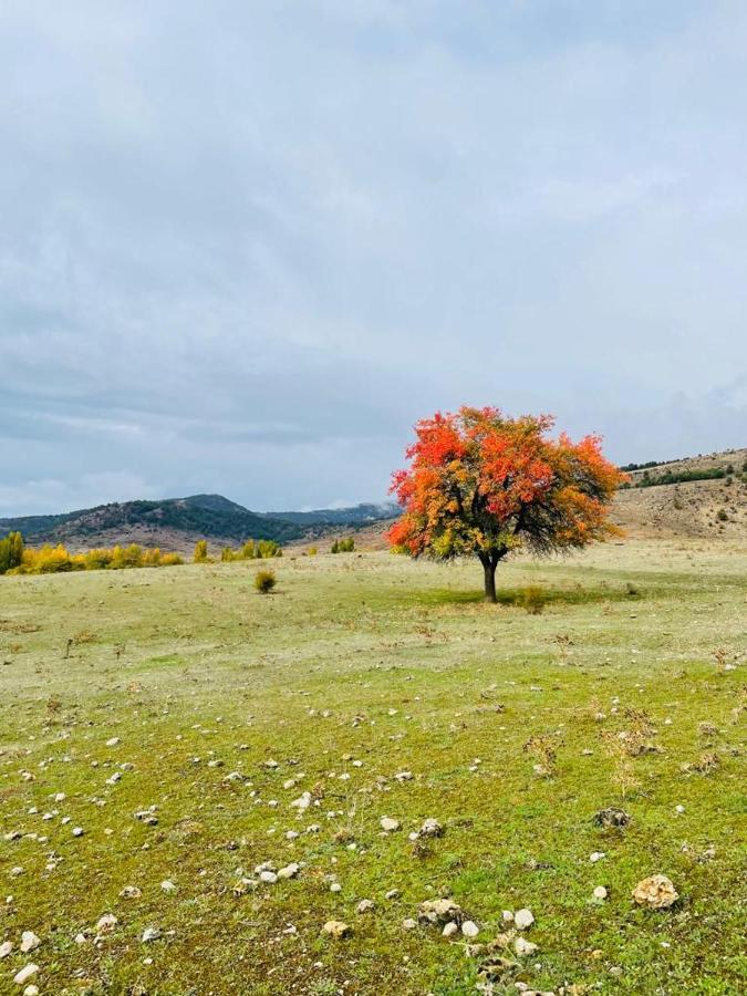 Alojamiento Rural Los Hacheros Tragacete Extérieur photo